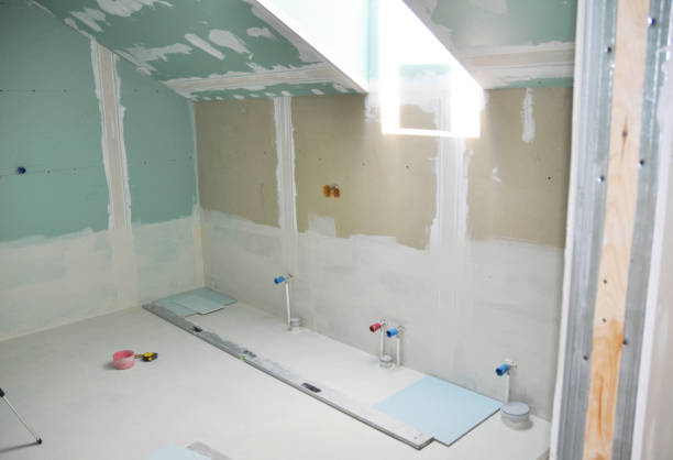 Asbestos and Lead Testing During Mold Inspection in Pine Island, MN