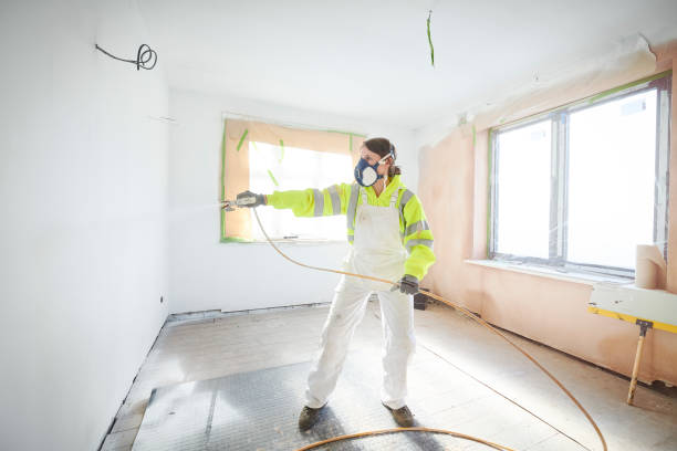 Best Emergency Mold Remediation  in Pine Island, MN