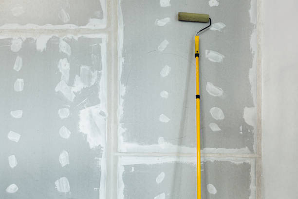 Mold Removal for HVAC Installations in Pine Island, MN
