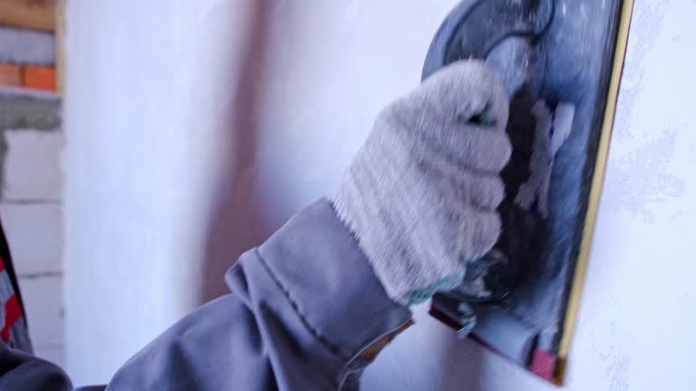 Best Forensic Mold Investigation  in Pine Island, MN