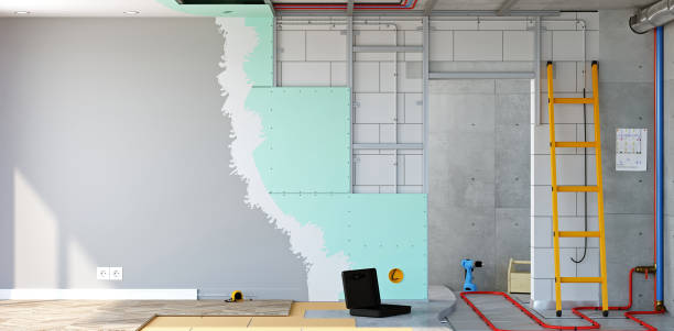 Best Post-Construction Mold Inspection  in Pine Island, MN