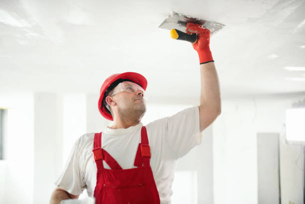 Best Industrial Mold Remediation  in Pine Island, MN